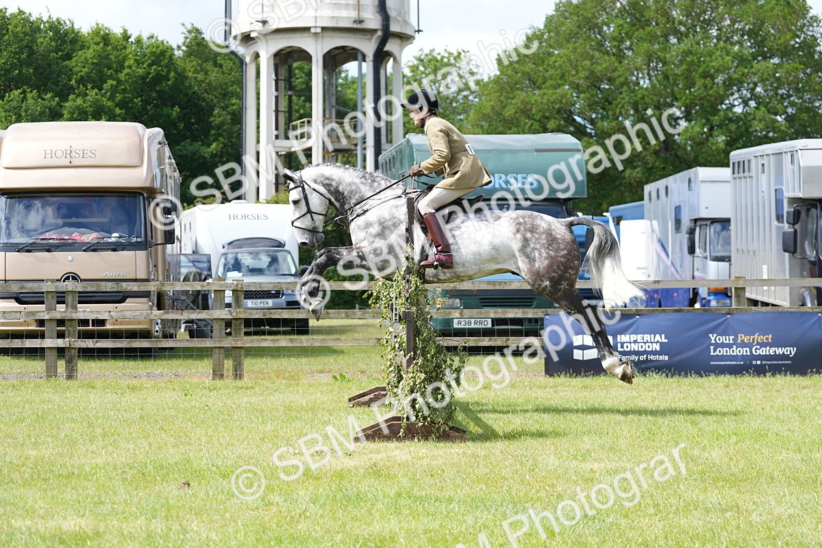 SBM_14849 - Class 100-102 - RIHS Working Hunter