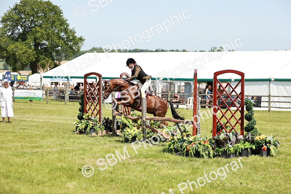 SBM_15569 - Class 108-109 - BSPS LIHS Open Gradle & Nursery Stakes