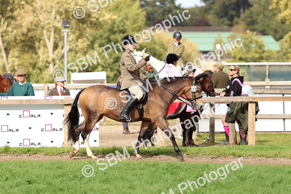 SBM_47585 - S28 - Veteran Ridden