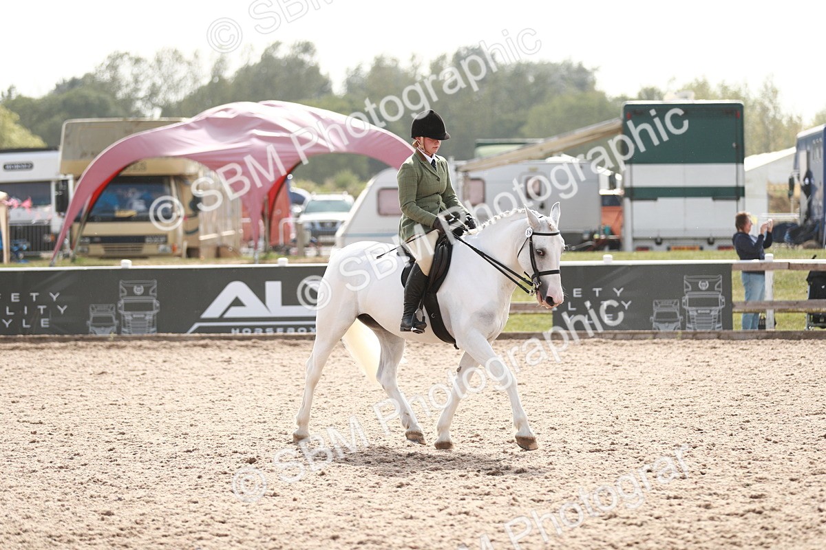 SBM_14851 - Class 212 Ridden Hunter - Small