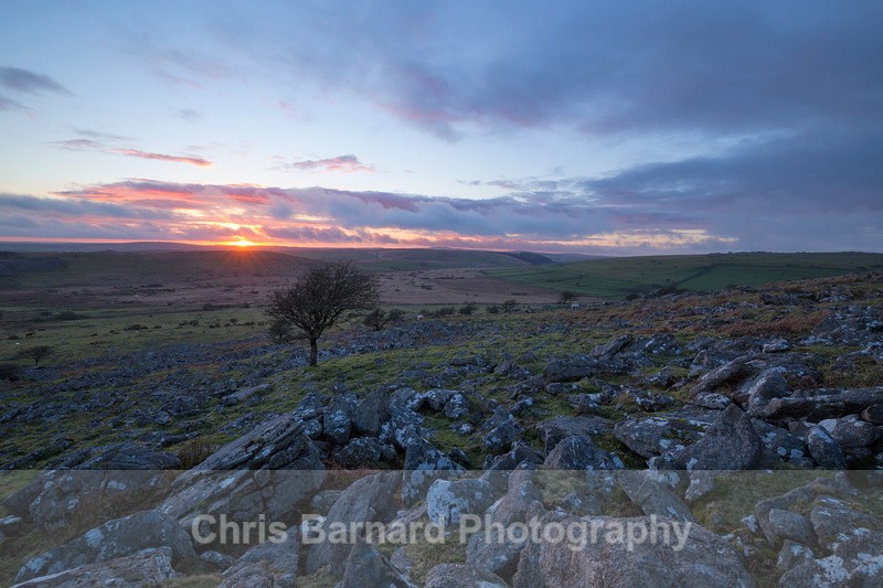 - Bodmin Moor