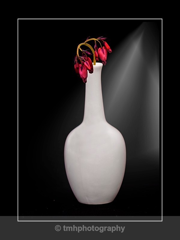 Bleeding Heart Vase - Still Life / Contemporay Art
