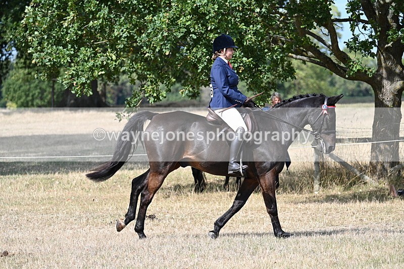 WJ7_6274 - Class 13 Ridden Veterans