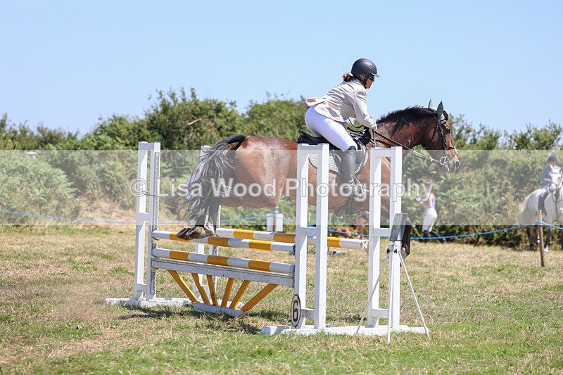 3E7A4347 - Class 10: Senior British Novice/90cm open