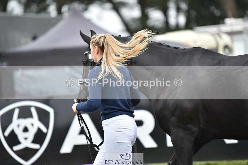 231018-124002-00436 - 053-WISHING.TIME-Holly.Law-TrotUp