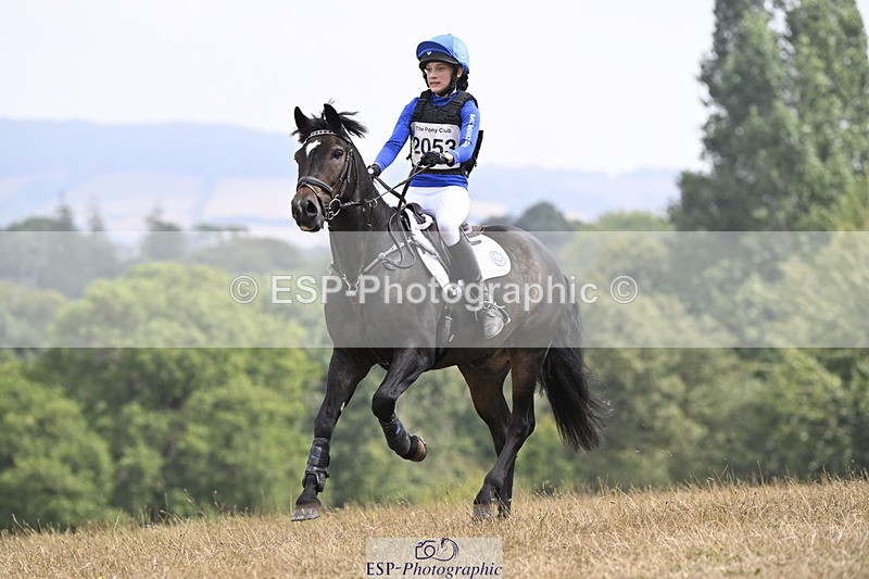 250824A-125819-36576 - 2053-Ava.Sampson-Chameleon