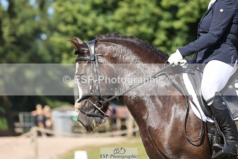 240719-094708-00262 - 262-Leia_Bower-Horeb_Llew