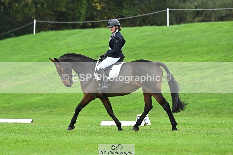 241024-114311-03293 - 509-Tichy.Sanders-SPARHANGER.VELVET