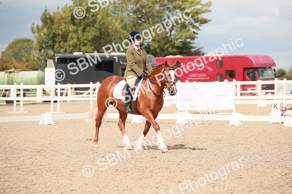 SBM_05849 - Class 32 - Novice 1