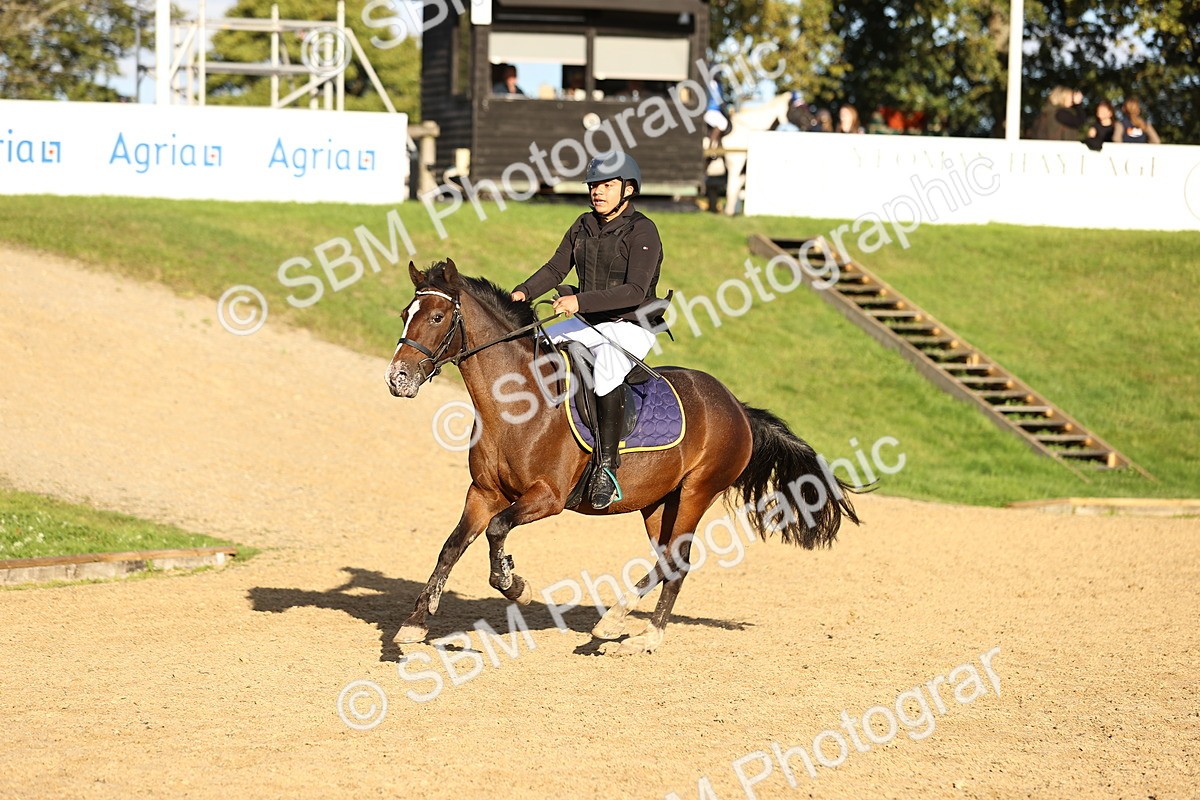 SBM_51960 - J10 - Junior Pony 75cm Championship