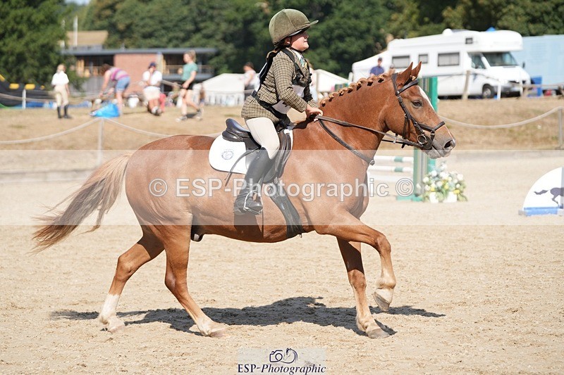 250822A-105102-20107 - WC Round 2 10.00 to 11.10