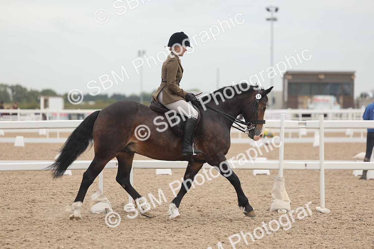 SBM_01849 - Class 14 - Ridden M&M Wildcard