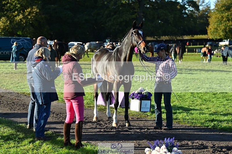 231022-092716-21799 - 685-ADRENALIN.II-Cosima.Atkinson-TrotUp+SJ