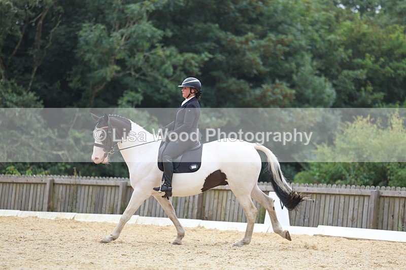 3E7A7074 - Class 7: Novice 4 2024 Section B