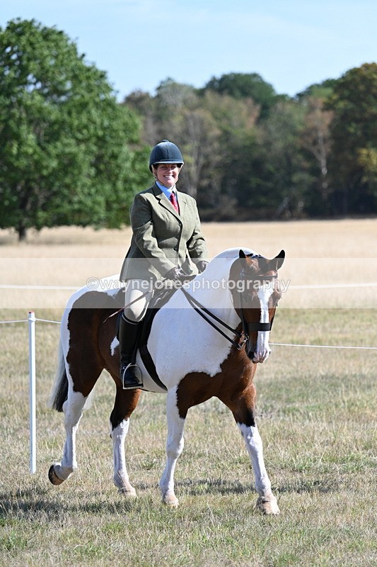 WJ7_3069 - Class 8 Ridden Tack & Turnout