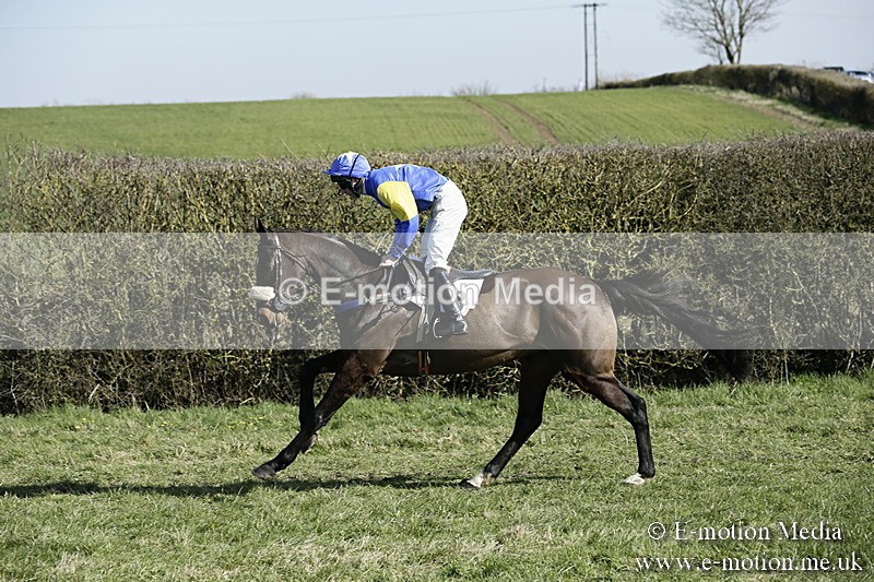 PtP 250317 194 - V.W.H. Hunt Point-to-Point Siddington 25/03/17