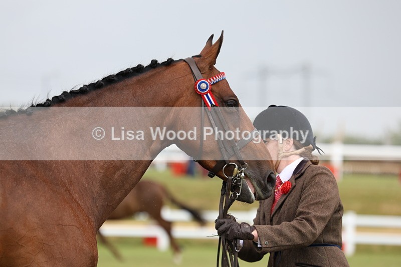 3E7A1075 - Class 8: Open Riding Horse/Hack