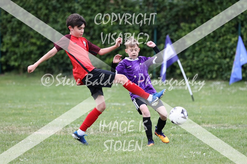 1DX31023 - Brook Field V Goddard Park