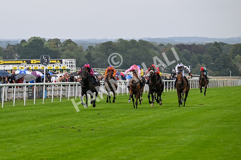 290826-Race 2-Valley Of Flowers-5913 - Race 2 2.20pm Napoleons Casino And Restaurant Hull Handicap