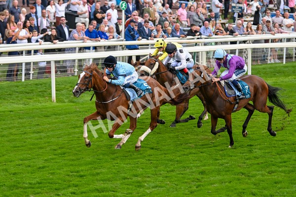 080925-Race 6-Rhapsody-7785 - Race 6 5.00pm Sky Bet Build A Bet Fillies' Handicap