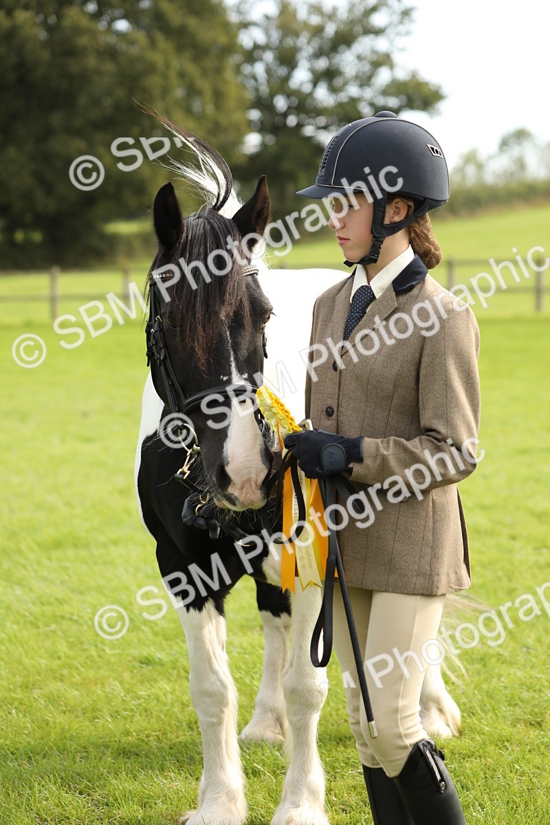 SBM_68769 - S40 - Junior Handler 9-12 Years