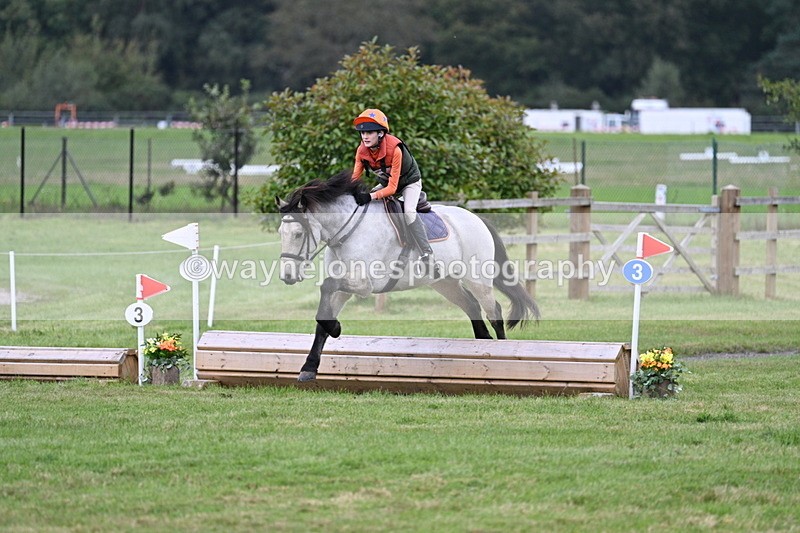 WJ7_8713 - 60cm Time 12:31 to 12:50