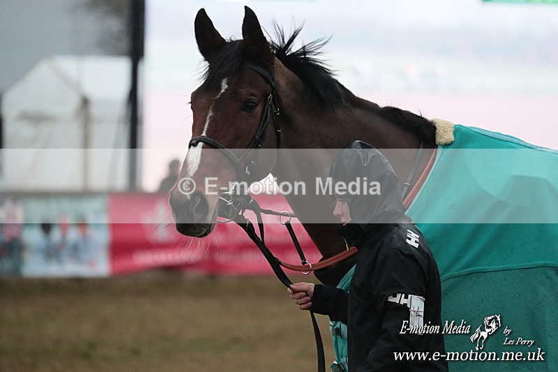 PtP 260125 948 - Cocklebarrow Point-to-Point racing with the Heythrop Hunt 26/01/25