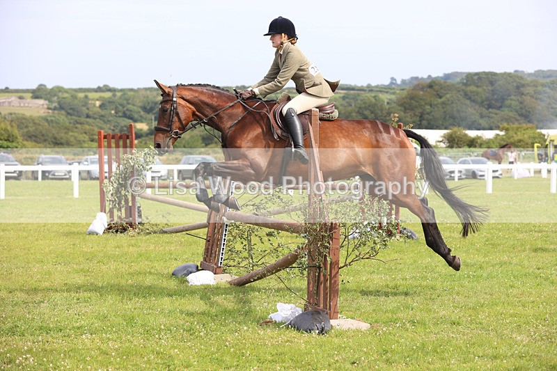 JPP_4062 - Class 24: Working Hunter 90cm