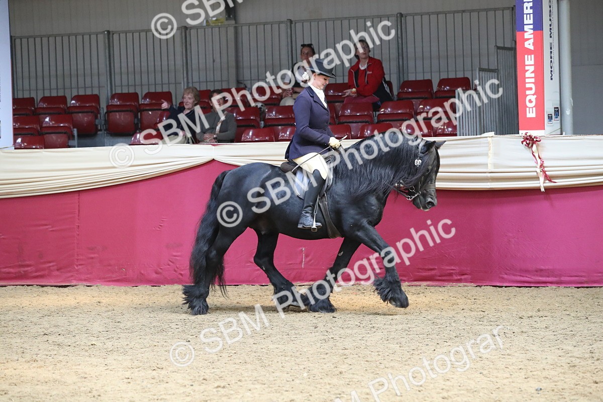 SBM_16315 - Class 502 M&M Ridden Supreme Final