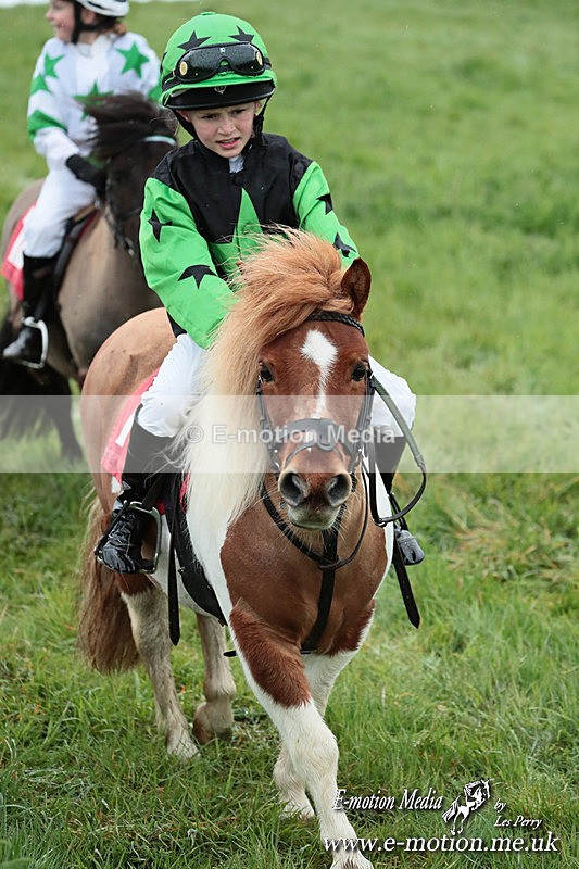 SHETPR 210425 243 - Shetland Ponies Paxford Races 21/04/25