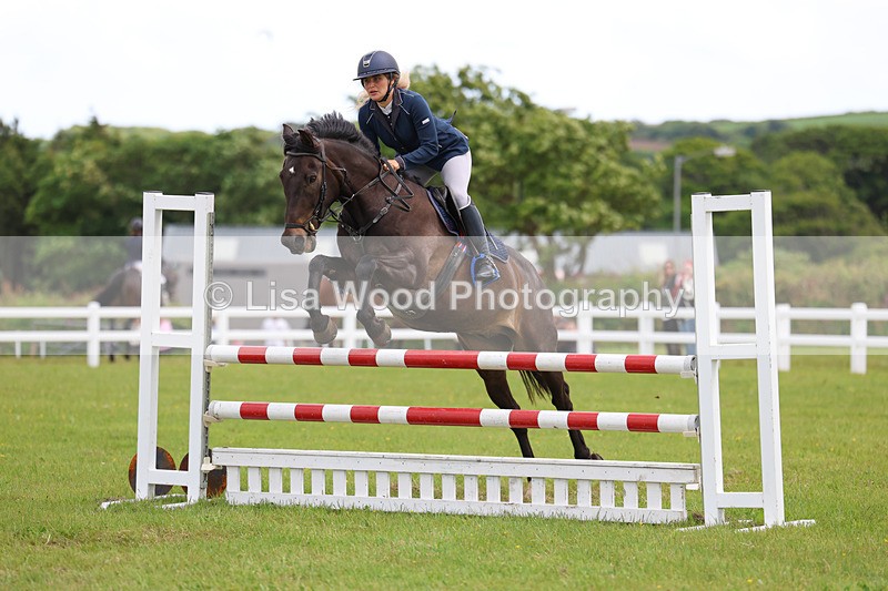3E7A7754 - Class 13: Senior British Novice/90cm open