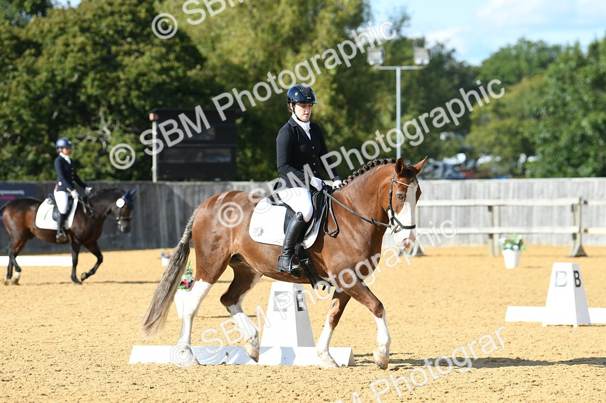 SBM_27109 - D16 - Small Tour Championship - Novice 28