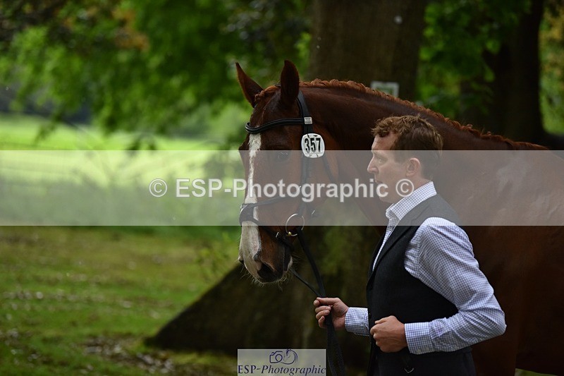 240522-152750-00357 - 357-OUGHTERARD_QUALITY-John_Westmore