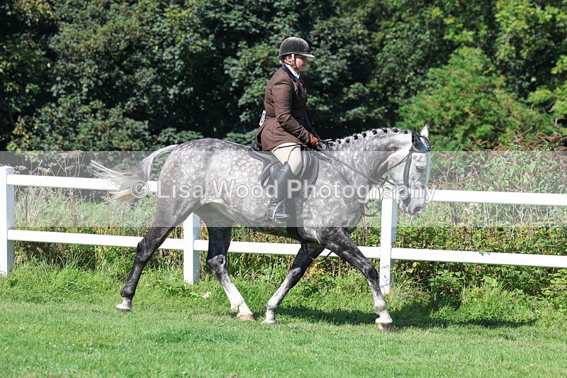 3E7A8335 - Class 4: Novice working Hunter