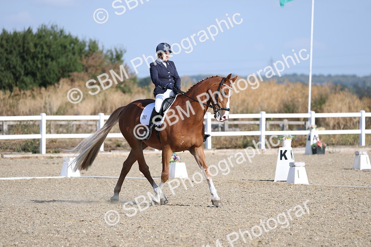 SBM_020215 - Class 21 - M5 Bronze 9.30.10.34