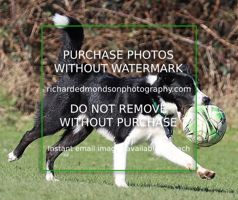 IMG_6731 - Ibis Utd v Wattsfield Part 2 (5/3/22)