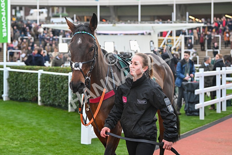 161124-Race 6-Paddock-Mikimoto-1110 - Race 6