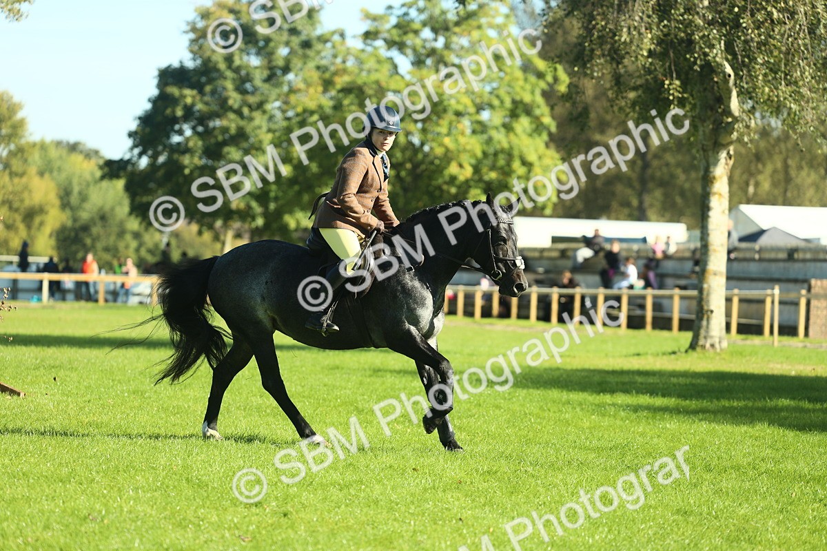 SBM_36459 - S29 - Novice & Newcomers Working Hunter Pony