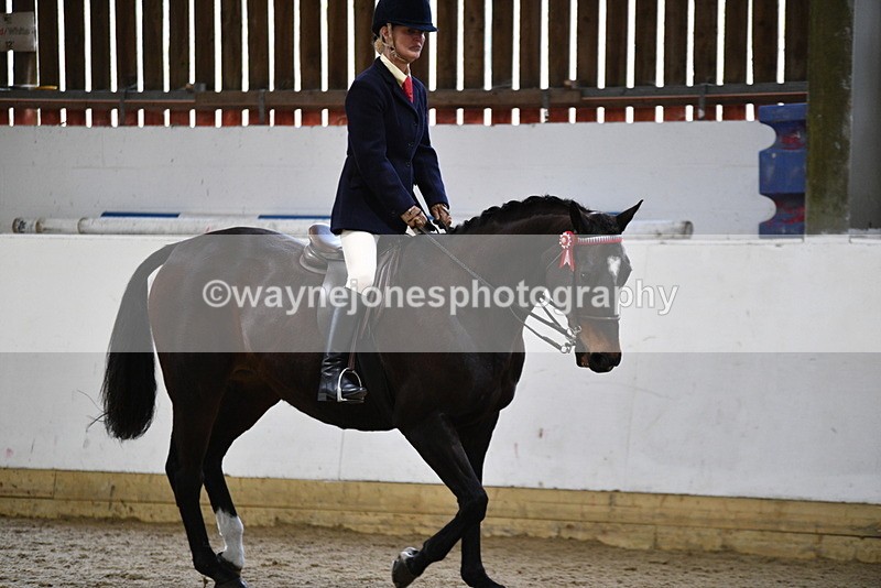 WJ5_7838 - Class 13 Ridden Part Breed