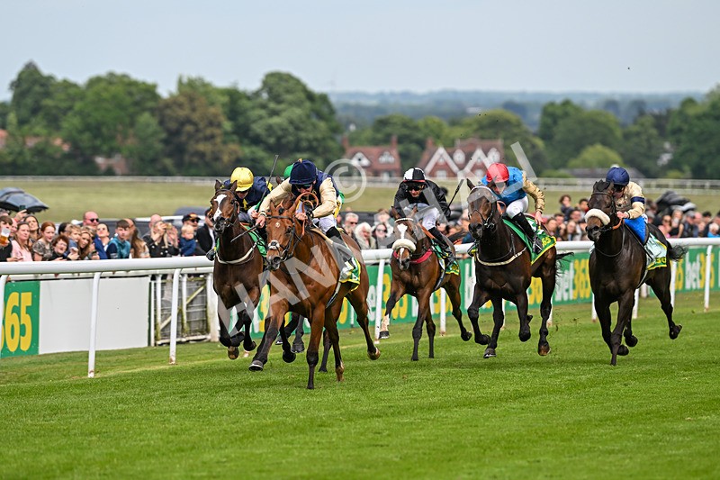 240525-Race 3-Old Is Gold-0869 - Race 3