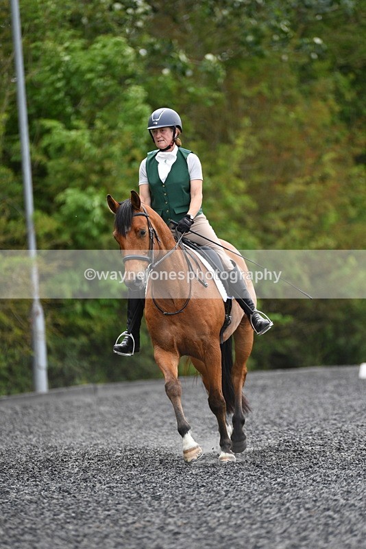 WJ5_0181 - Time 11:47 to 12:21