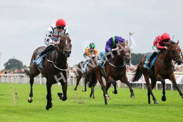 yr04092022r4-15 - Race 4 3.30pm Federation of Bloodstock Agents Nursery Handicap
