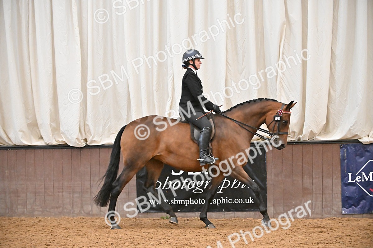 SBM_002338 - Class 22 - BSHA Ridden Hack & Riding Horse