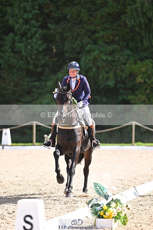 240809-162553-02380 - Preliminary Gold