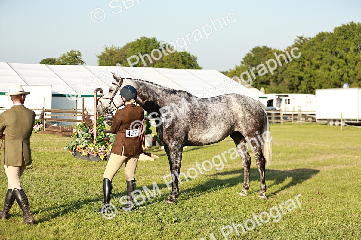 SBM_20505 - Class 117-119 - Sport Horse Working Hunter