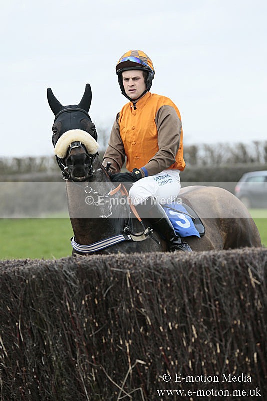 PtP 230319 67 - VWH Hunt Siddington Point-to-Point Racing 23/03/19