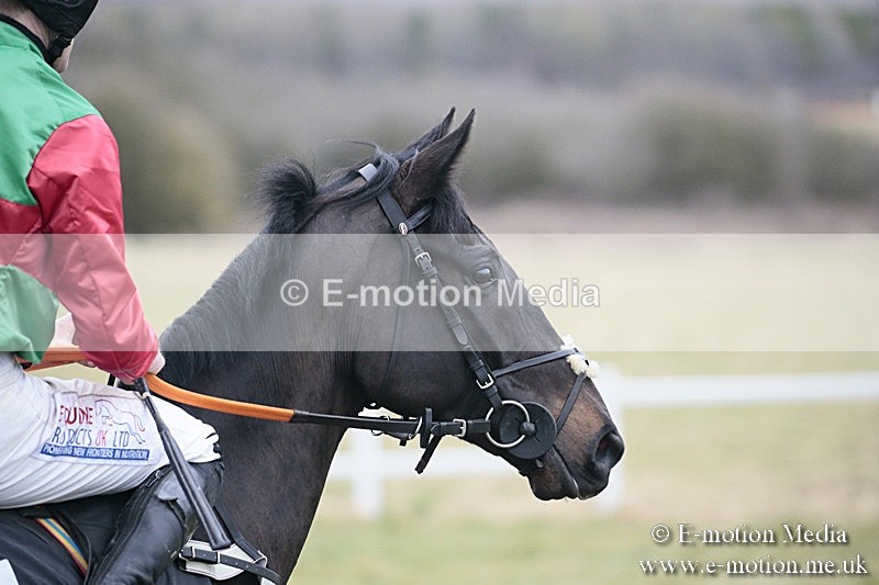 PtP 180218 719 - Combined Services Point-to-Point Larkhill 18/02/18