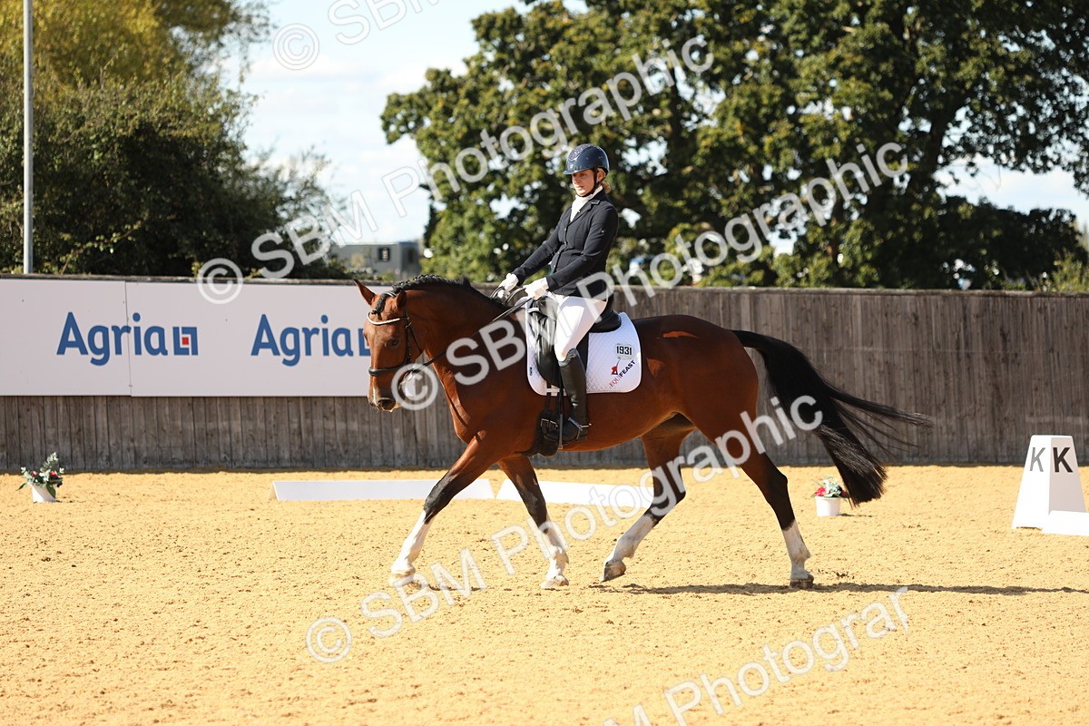 SBM_24517 - D17 - Grand Tour Championship - Novice 27