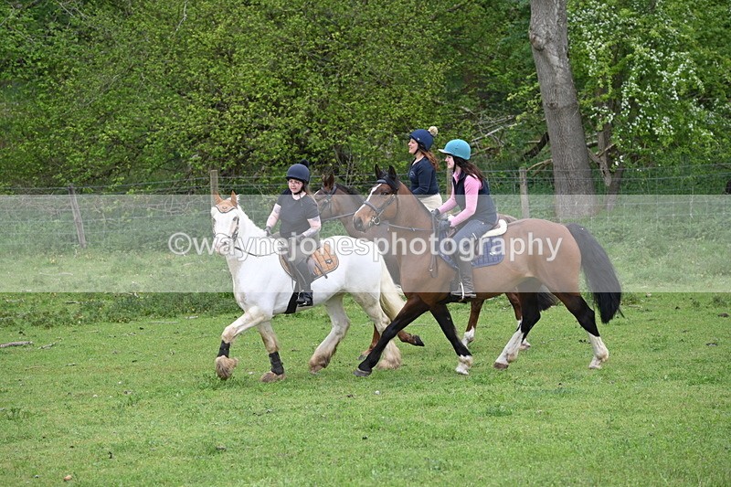 WJ6_3143 - A camera