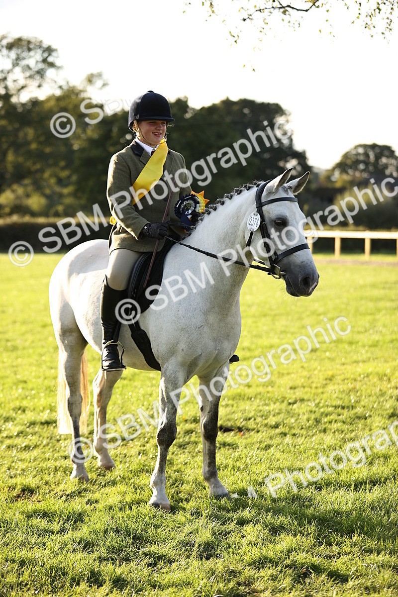 SBM_30149 - Novice & Newcomers Supreme Championship